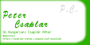 peter csaplar business card